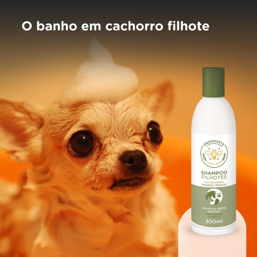 Shampoo Filhotes