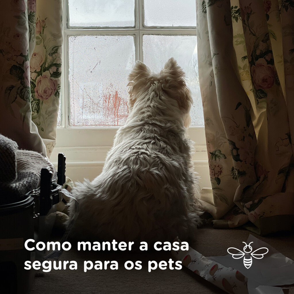 Como manter a casa segura para os pets